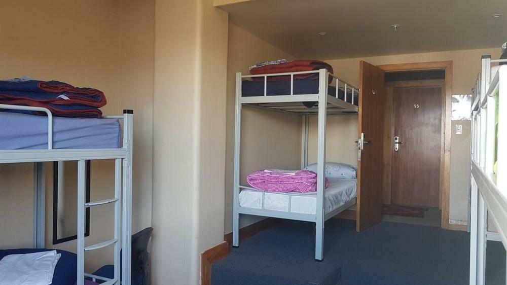 Wild Zebra Backpackers Hostel เวลลิงตัน ภายนอก รูปภาพ